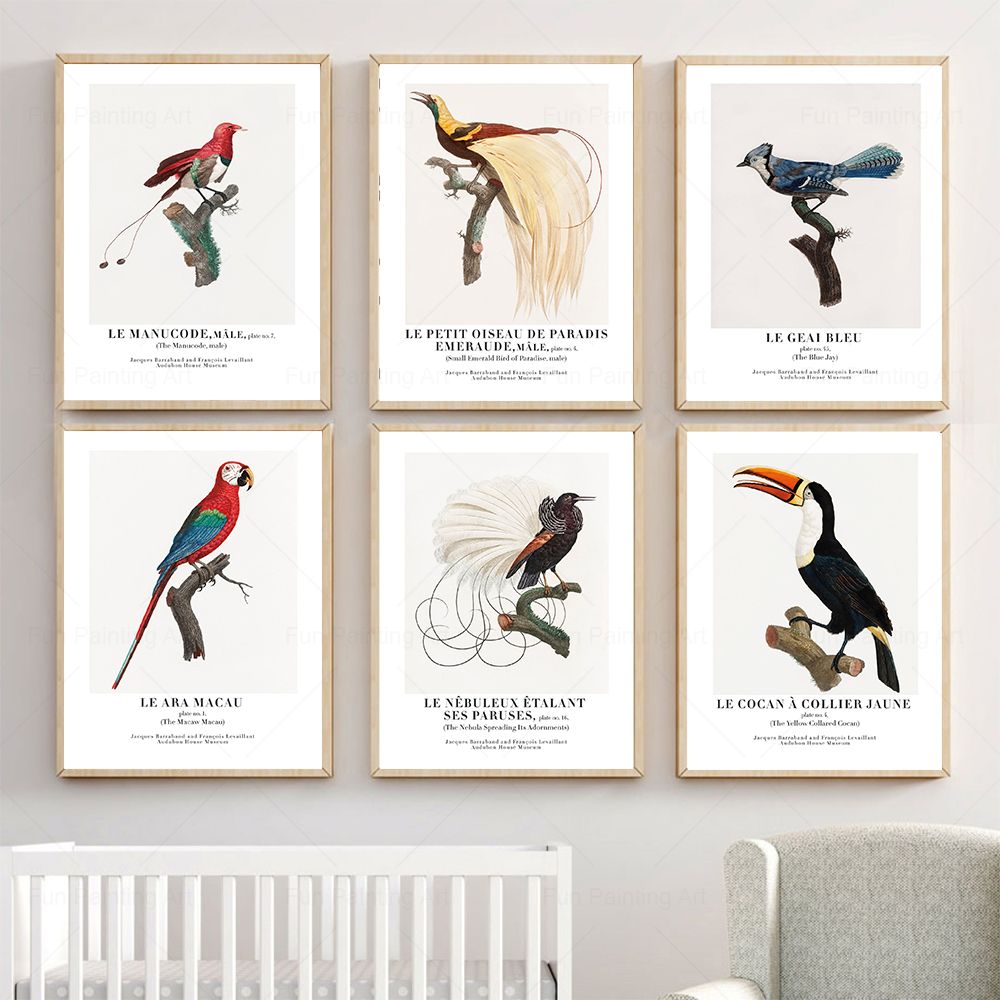 Furniture Paradise & Hardware Ghaziabad Photos - Vintage Paradise Bird Wall Art ภาพวาดผ้าใบพิพิธภัณฑ์นอร์ดิกโปสเตอร์และพิมพ์สุนทรียศาสตร์ภาพสําหรับห้องนั่งเล่นตกแต่งบ้าน