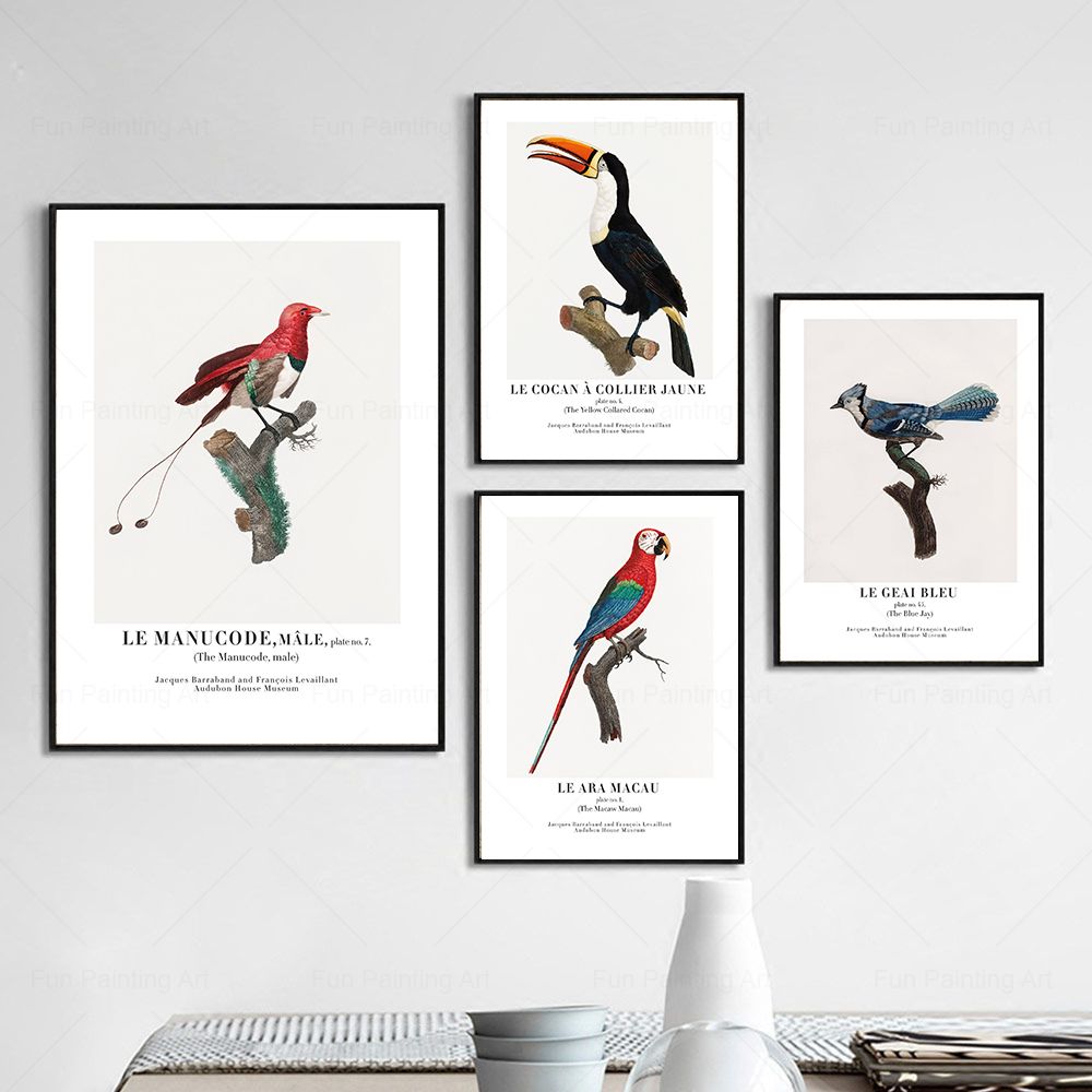Vintage Paradise Bird Wall Art - Furniture Paradise & Hardware Ghaziabad Photos บทวิจารณ์และราคา