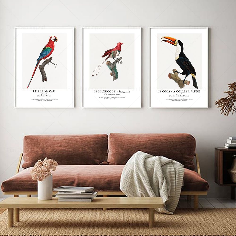 Vintage Paradise Bird Wall Art - Furniture Paradise & Hardware Ghaziabad Photos บทวิจารณ์และราคา