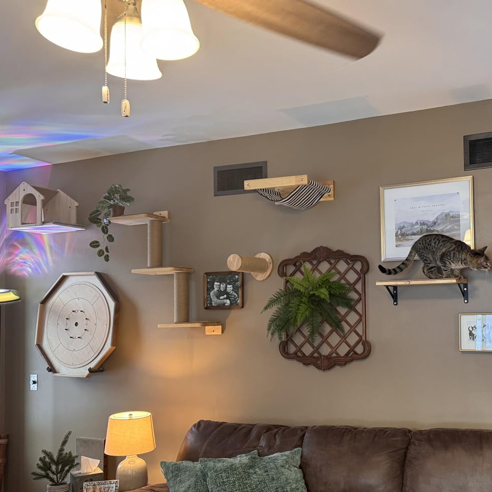 เฟอร์นิเจอร์แมว ราวแขวนไม้เนื้ - Furniture Paradise & Hardware Ghaziabad Photos บทวิจารณ์และราคา