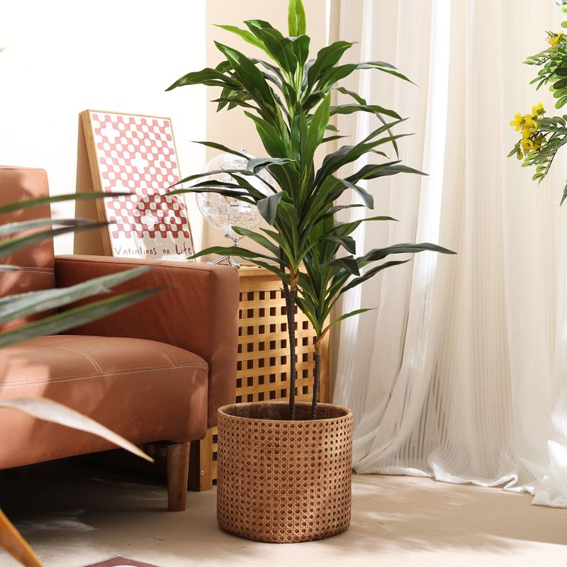 เฟอร์นิเจอร์สำหรับอพาร์ทเมนต์ข - Furniture Paradise & Hardware Ghaziabad Photos บทวิจารณ์และราคา